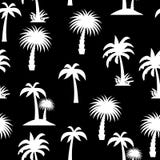 Palm Tree Seamless Pattern stock illustration Palm Tree Seamless Pattern stock illustration