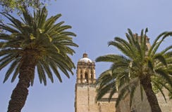 Palm Trees With Church Tower Royalty Free Stock Photo