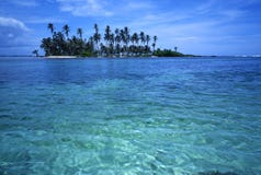 Palm Tropical Island