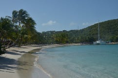 Palmas oblicuo crecidas en la playa del Caribe imágenes de archivo libres de regalías Palmas oblicuo crecidas en la playa del Caribe imágenes de archivo libres de regalías