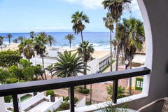 Palme del balcone della stanza di vista di oceano immagini stock libere da diritti Palme del balcone della stanza di vista di oceano immagini stock libere da diritti
