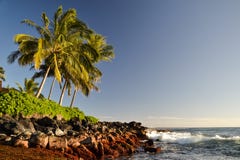 Palmen bei Lawai setzen - Poipu, Kauai, Hawaii, USA auf den Strand stockfoto Palmen bei Lawai setzen - Poipu, Kauai, Hawaii, USA auf den Strand stockfoto
