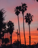 Palmen bij zonsondergang in Los Angeles stock fotografie Palmen bij zonsondergang in Los Angeles stock fotografie
