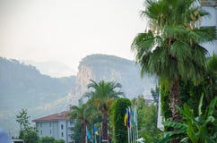 Palmeras verdes, banderas de los países diferentes, montaña fotografía de archivo libre de regalías Palmeras verdes, banderas de los países diferentes, montaña fotografía de archivo libre de regalías