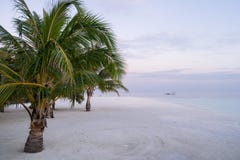 Palmiers au-dessus de la plage et du hors-bord blancs de sable au-dessus de la lagune de turquoise chez les Maldives au coucher d photographie stock Palmiers au-dessus de la plage et du hors-bord blancs de sable au-dessus de la lagune de turquoise chez les Maldives au coucher d photographie stock