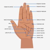 palmistry Open van handlijnen en symbolen mystieke lezingsillustratie stock illustratie palmistry Open van handlijnen en symbolen mystieke lezingsillustratie stock illustratie