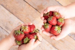 Palms with strawberries, above kids hands, copy space stock photography Palms with strawberries, above kids hands, copy space stock photography