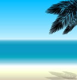 Palmträd på bakgrunden av havet vektor illustrationer Palmträd på bakgrunden av havet vektor illustrationer