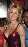 Pamela Anderson stock foto Pamela Anderson stock foto