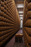Pamigiano Reggiano cheese factory in Italy