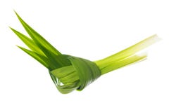 Pandan leaves Royalty Free Stock Photos Pandan leaves Royalty Free Stock Photos