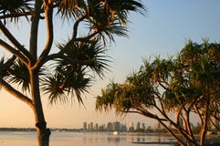 Pandanus Trees In The Early Morning Stock Images