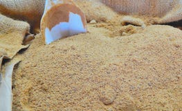 Panela rottingsocker med naturligt ljus royaltyfri bild Panela rottingsocker med naturligt ljus royaltyfri bild