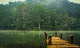 Pang-ung, Pine Forest Park Royalty Free Stock Photos Pang-ung, Pine Forest Park Royalty Free Stock Photos