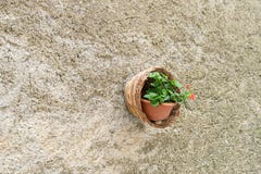 Panier avec des fleurs pendant d'un mur image stock Panier avec des fleurs pendant d'un mur image stock