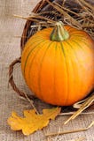 Panier potirons de décoration d'automne de mini photographie stock libre de droits Panier potirons de décoration d'automne de mini photographie stock libre de droits