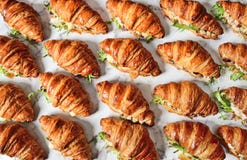 Panino del croissant dell'insalata di pollo immagine stock Panino del croissant dell'insalata di pollo immagine stock