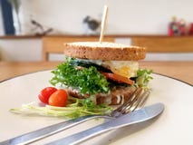 Panino immagini stock Panino immagini stock