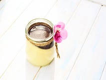 Panna cotta della vaniglia con la salsa di cioccolato, dessert italiano immagine stock libera da diritti Panna cotta della vaniglia con la salsa di cioccolato, dessert italiano immagine stock libera da diritti