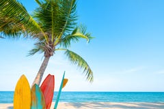 Panneau de ressac de vintage avec le palmier sur la plage tropicale Panneau de ressac de vintage avec le palmier sur la plage tropicale