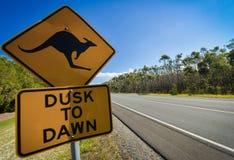 Panneau routier de kangourou à côté d'une route, Australie photographie stock libre de droits Panneau routier de kangourou à côté d'une route, Australie photographie stock libre de droits