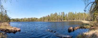 Panorama da floresta do lago fotografia de stock royalty free Panorama da floresta do lago fotografia de stock royalty free