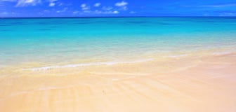 Panorama de plage ( Panorama de plage (