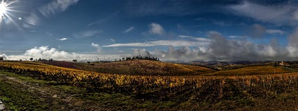 Panorama de vignobles de la Toscane photos stock Panorama de vignobles de la Toscane photos stock