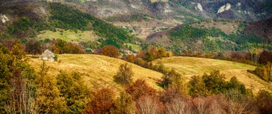Panorama idyllique de campagne sur le pré vert, entouré par l'arbre images libres de droits Panorama idyllique de campagne sur le pré vert, entouré par l'arbre images libres de droits