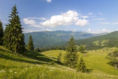Panorama Karpackie góry w lecie z osamotnioną sosną Zdjęcia Stock Panorama Karpackie góry w lecie z osamotnioną sosną Zdjęcia Stock