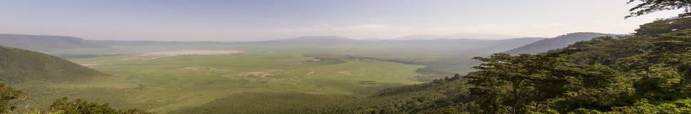 Panorama Ngorongoro krater, Tanzania fotografia royalty free Panorama Ngorongoro krater, Tanzania fotografia royalty free
