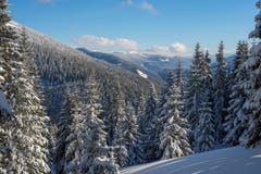 Panorama van de winterbergen, met pijnboombos dat wordt behandeld Royalty-vrije Stock Fotografie Panorama van de winterbergen, met pijnboombos dat wordt behandeld Royalty-vrije Stock Fotografie