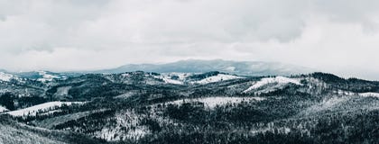 Panorama van Karpatische die Bergen in sneeuw worden behandeld stock fotografie Panorama van Karpatische die Bergen in sneeuw worden behandeld stock fotografie