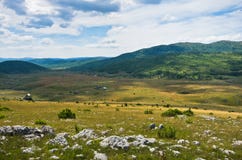 Panorama van Pester plateaulandschap royalty-vrije stock foto Panorama van Pester plateaulandschap royalty-vrije stock foto