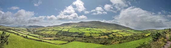 Panorama vert de prés près de Dingle photo stock Panorama vert de prés près de Dingle photo stock