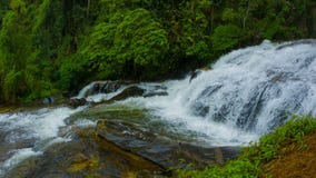 Panorama von Wasserfällen im Regenwald Thailand stock footage Panorama von Wasserfällen im Regenwald Thailand stock footage