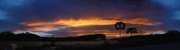 Panorama étonnant de coucher du soleil le soir photo libre de droits Panorama étonnant de coucher du soleil le soir photo libre de droits
