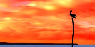 Panoramablick von Meer und Himmel und Pelikanschattenbild Trinidad und Tobago an der Dämmerung lizenzfreies stockfoto Panoramablick von Meer und Himmel und Pelikanschattenbild Trinidad und Tobago an der Dämmerung lizenzfreies stockfoto
