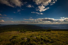 Panoramatic view from peak of Velky Keprnik with pine trees, green grass and dark blue cloudy sky in Jeseniky stock images Panoramatic view from peak of Velky Keprnik with pine trees, green grass and dark blue cloudy sky in Jeseniky stock images