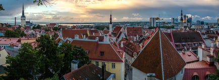 Panoramautsikt av den gamla staden Tallinn med torn och väggar, Estoni arkivbild Panoramautsikt av den gamla staden Tallinn med torn och väggar, Estoni arkivbild