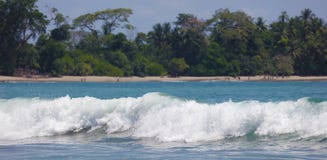 Panoramautsikten av den Manuel Antonio nationalparkstranden i Costa Rica, mest härlig stränder i världen, surfare sätter på land fotografering för bildbyråer Panoramautsikten av den Manuel Antonio nationalparkstranden i Costa Rica, mest härlig stränder i världen, surfare sätter på land fotografering för bildbyråer