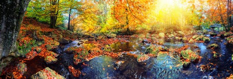 Panoramic Autumn Landscape With Forest Stream. Fall Nature Background Royalty Free Stock Images Panoramic Autumn Landscape With Forest Stream. Fall Nature Background Royalty Free Stock Images