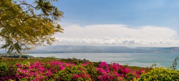 Panoramic top view of the sea of Galilee from the Mount of Beatitudes, Israel