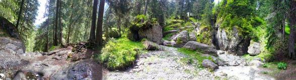 Panoramic view of a forest from Mount Bucegi on summer Stock Photography Panoramic view of a forest from Mount Bucegi on summer Stock Photography