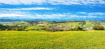 Meadow ful of dandelions and beautiful clouds stock image Meadow ful of dandelions and beautiful clouds stock image