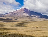 Panoramic view of snow capped Chimborazo volcano, Ecuador stock photos Panoramic view of snow capped Chimborazo volcano, Ecuador stock photos
