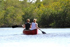Panoramische Toeristen die in mangrovebos kayaking in het Nationale park van Everglades - Floridaa van meer in het Nationale park royalty-vrije stock afbeeldingen Panoramische Toeristen die in mangrovebos kayaking in het Nationale park van Everglades - Floridaa van meer in het Nationale park royalty-vrije stock afbeeldingen