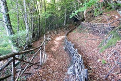 Panormo path