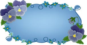 pansies för banerkorthälsningar vektor illustrationer pansies för banerkorthälsningar vektor illustrationer