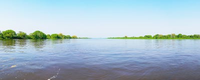 Pantanallandschap met de rond rivier en de groene vegetatie stock afbeelding Pantanallandschap met de rond rivier en de groene vegetatie stock afbeelding